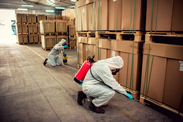 Best Wasp Removal Services  in Niagara, WI