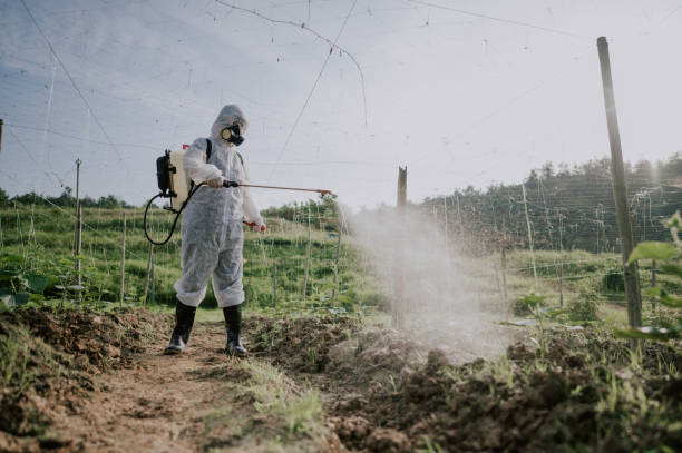 Best Pest Removal Services  in Niagara, WI