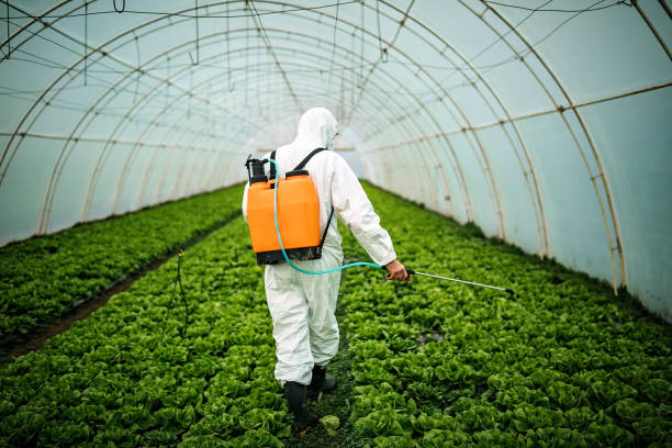 Best Pest Control Near Me  in Niagara, WI