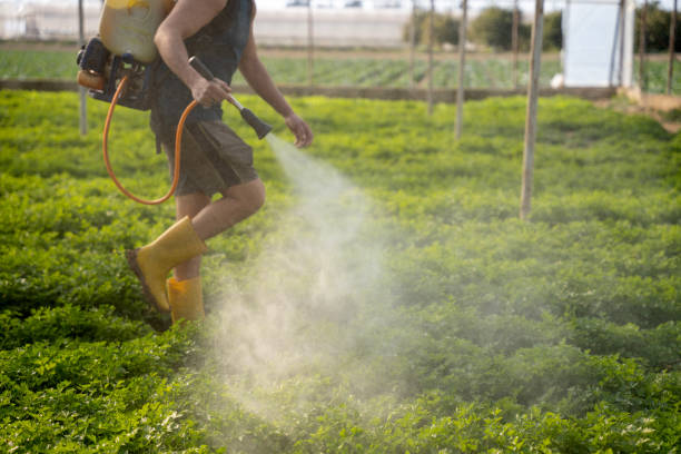 Pest Control for Restaurants in Niagara, WI