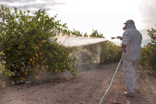 Best Pest Control Near Me in Niagara, WI