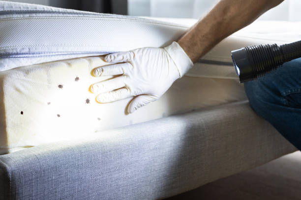 Best Pest Prevention Services  in Niagara, WI