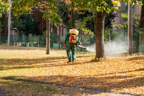Best Flea Control Services  in Niagara, WI