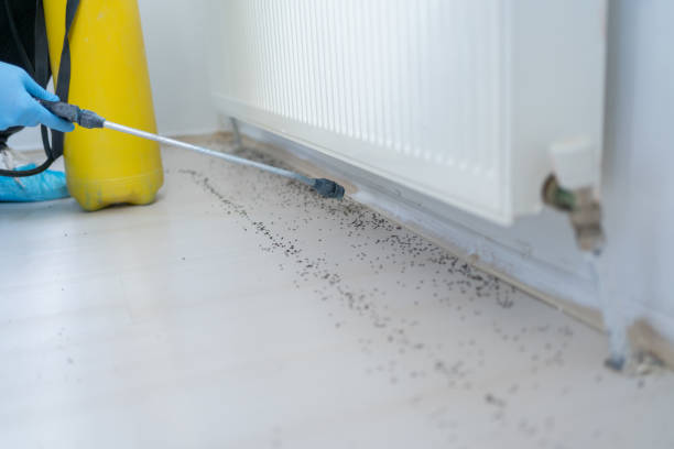 Best Local Pest Control Services  in Niagara, WI
