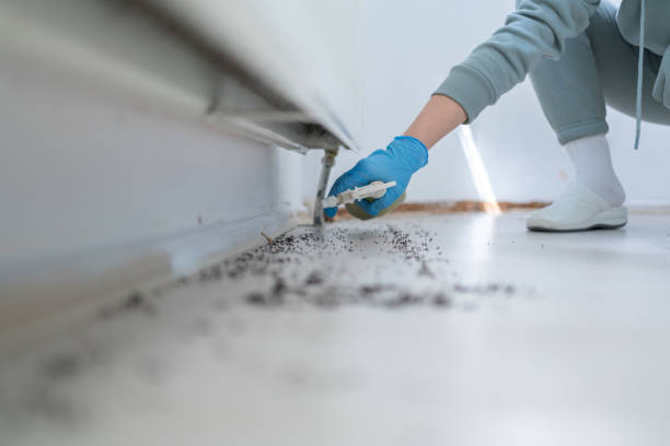 Best Wildlife Control Services  in Niagara, WI