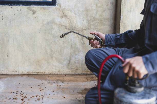 Best Mosquito Control Services  in Niagara, WI