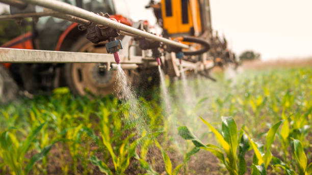 Pest Control Cost in Niagara, WI